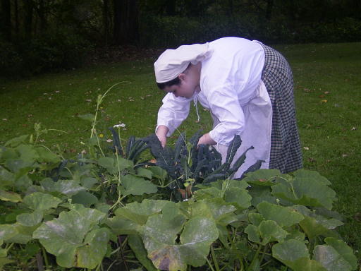 Laura picking her vegetables